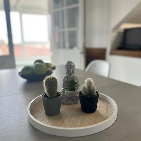 Appartamento Atico En El Centro De